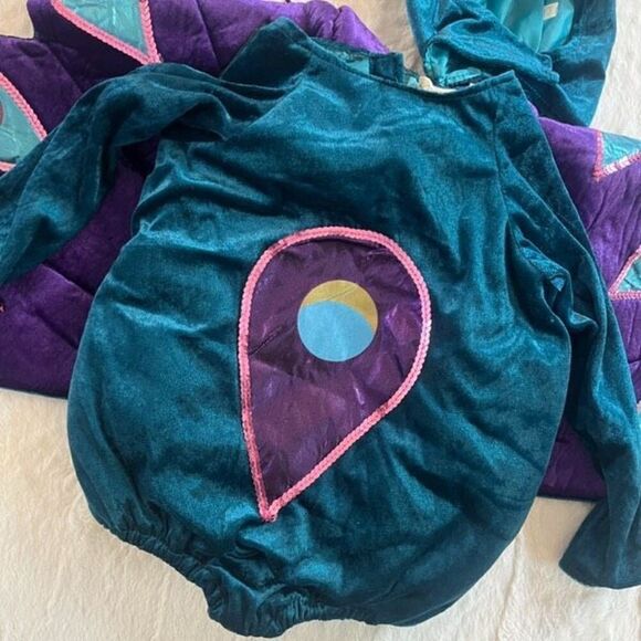 Princess Paradise Peacock Costume Size 18Months 2T - Picture 1 of 11